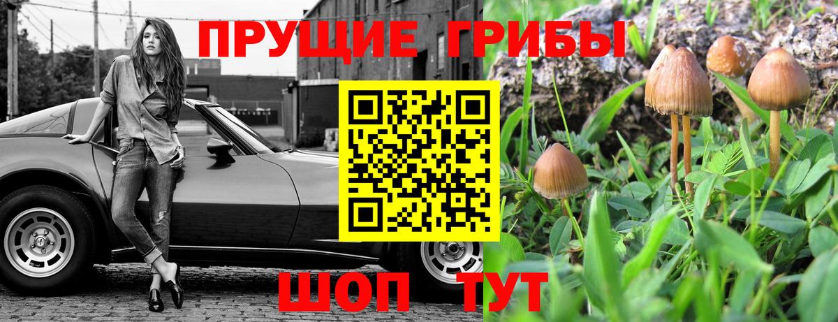 Псилоцибиновые грибы Magic Shrooms Ипатово